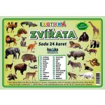 Exotická zvířata - Sada 24 karet – Hledejceny.cz