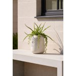 eshop-kvetinace.cz Stolní váza MONTI, sklolaminát, výška 28 cm, béžová – Hledejceny.cz
