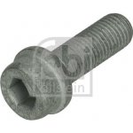 Sroub, brzdovy trmen FEBI BILSTEIN 185993