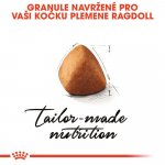 Royal Canin Ragdoll Adult 2 kg – Zboží Dáma