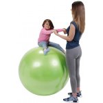 Gymnic Plus 120 cm – Zbozi.Blesk.cz