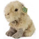 Eco- Friendly Rappa kapybara 18 cm – Zboží Mobilmania