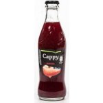 Cappy Jahoda vratné sklo 24 x 250 ml – Zboží Dáma