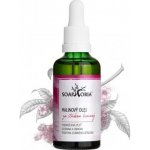 Soaphoria Malinový olej 50 ml – Zboží Dáma