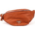 David Jones CM5109 – Zbozi.Blesk.cz