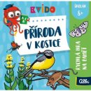 Desková hra Albi Kvído Příroda v kostce