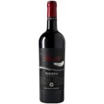 Pacato Primitivo di Manduria DOP 14,5% 0,75 l (holá láhev) – Hledejceny.cz