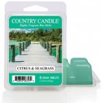Country Candle vosk do aroma lampy Cilantro Citrus & Seagrass 64 g – Zboží Mobilmania