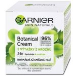 Garnier Skin Naturals Botanical Creme s výtažky z hroznů 50 ml – Zbozi.Blesk.cz