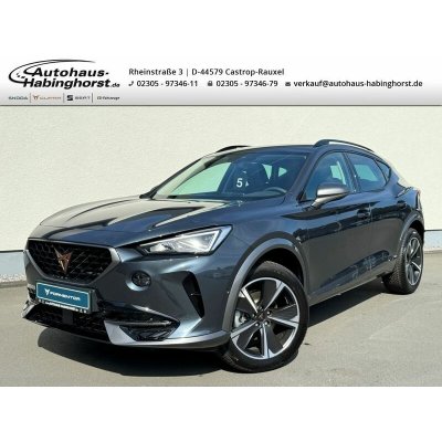 Cupra Formentor 1.5 TSI 110 kW – Hledejceny.cz