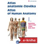 Atlas anatomie člověka I. - Atlas of Human Anatomy I. – Zboží Mobilmania