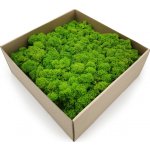 mech-mech.cz Sobí mech Finský čištěný premium - světle zelený - 4kg – Sleviste.cz