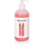Tommi Long and Curly Dog Shampoo 500 ml – Zbozi.Blesk.cz