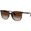 Ray-Ban RB4378 710 13