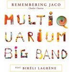 Multiquarium Big Band Feat Bireli Lagrene - Remembering Jaco CD – Hledejceny.cz