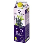 Hollinger Bio džus černý rybíz 1 l – Zbozi.Blesk.cz