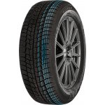 Viking WinTech 165/65 R14 79T