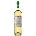 Doppio Passo Pinot Grigio Friuli 2023 DOC Grave 12,5% 0,75 l (holá láhev) – Hledejceny.cz