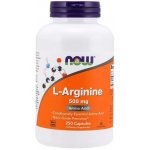 Now Foods Foods L-Arginin 500 mg 250 kapslí – Hledejceny.cz