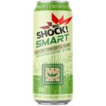 Big Shock! Smart Pineapple & Passionfruit 0,5 l – Sleviste.cz