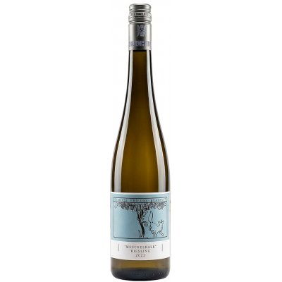Weingut Friedrich Becker Muschelkalk Ryzlink rýnský suché bílé 2019 11,5% 0,75 l (holá láhev) – Hledejceny.cz