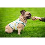 Vsepropejska Zada ovocné tričko s potiskem pro psa – Sleviste.cz