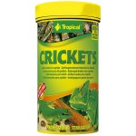 Tropical Crickets 250 ml – Zboží Dáma