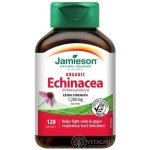 Jamieson Echinacea 1200 mg 120 kapslí – Hledejceny.cz