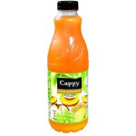 Cappy multivitamín 50% 1 l – Zbozi.Blesk.cz