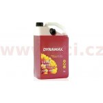 Dynamax SUMMER letní směs do ostřikovačů lesní ovoce 5 l | Zboží Auto