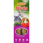 Avicentra Tyčinka Hlodavec lesní ovoce 2 x 60 g – Zboží Dáma