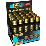 Z Konzept Arthro Forte shots mango 20 ampulí – Hledejceny.cz