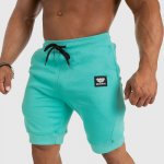 Iron Aesthetics Badge tyrkys – Sleviste.cz