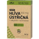 Vitar Hlíva ústřičná+echinacea+rakytník EKO 60 kapslí – Sleviste.cz