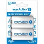 everActive professional line D 10000mAh 2ks EVHRL20-10000 – Zboží Živě