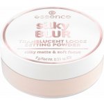 essence silky BLUR sypký fixační pudr pro matný vzhled 10 9 g – Zboží Dáma