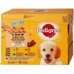 Pedigree Junior kuřecí 12 x 100 g – Hledejceny.cz