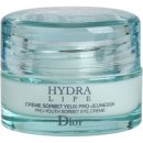 Dior Hydra Life Pro Youth Sorbet Eye Cream 15 ml