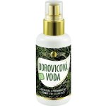 Purity Vision Bio Borovicová voda 100 ml – Hledejceny.cz