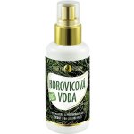 Purity Vision Bio Borovicová voda 100 ml – Zbozi.Blesk.cz