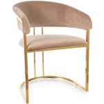 Signal Tulipe Sametové béžové / zlaté – Zbozi.Blesk.cz