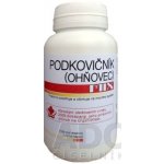 Provitex Podkovičník Ohňovec Mix 120 kapslí – Hledejceny.cz