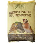 Agros Slunečnice černá 1 kg – Zboží Dáma
