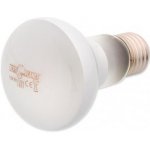 Repti Planet Daylight Frosted 75 W 007-41023 – Zboží Dáma