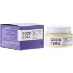 Holika Holika Skin & Good Cera super Cream 60 ml – Hledejceny.cz