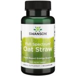 Swanson Oves Oat Straw 400 mg 60 kapslí – Hledejceny.cz
