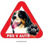 Grel nálepka na sklo pozor pes v autě bernský salašnický – Zboží Dáma