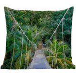 MuchoWow Vnější polštář Džungle palma most příroda rostliny 50x50 – Zboží Mobilmania