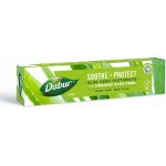 Dabur Ajurvédská s Aloe Vera 100 ml – Hledejceny.cz