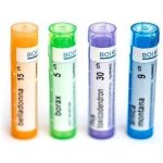 PHOSPHORICUM ACIDUM POR 5CH GRA 4G – Hledejceny.cz
